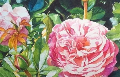 2025年09月08日动土黄道吉日 今日动土修造好吗