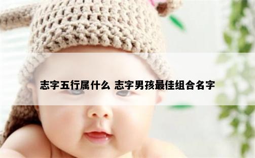 志字五行属什么 志字男孩最佳组合名字