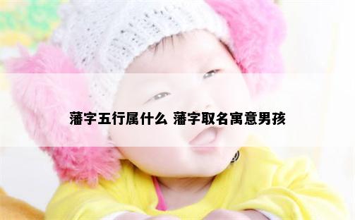 藩字五行属什么 藩字取名寓意男孩