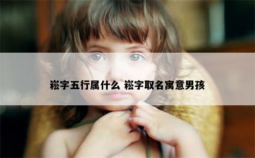 崧字五行属什么 崧字取名寓意男孩