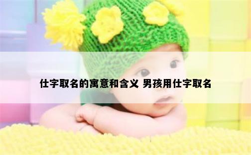 仕字取名的寓意和含义 男孩用仕字取名