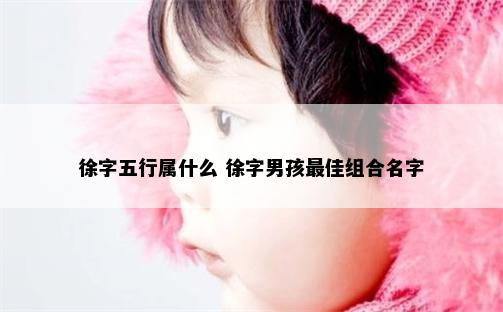 徐字五行属什么 徐字男孩最佳组合名字