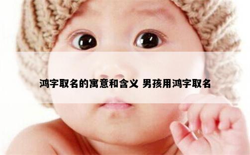 鸿字取名的寓意和含义 男孩用鸿字取名