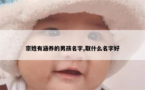宗姓有涵养的男孩名字,取什么名字好