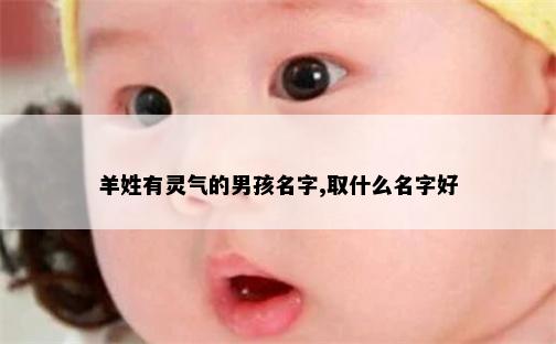 羊姓有灵气的男孩名字,取什么名字好