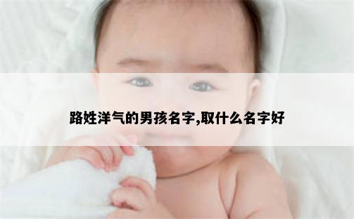路姓洋气的男孩名字,取什么名字好