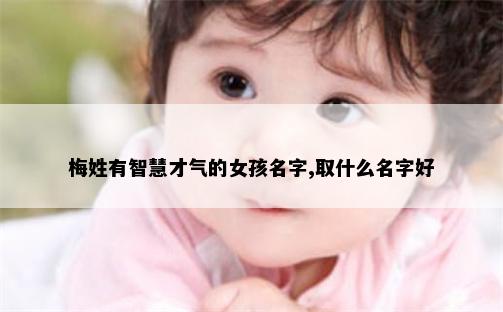 梅姓有智慧才气的女孩名字,取什么名字好