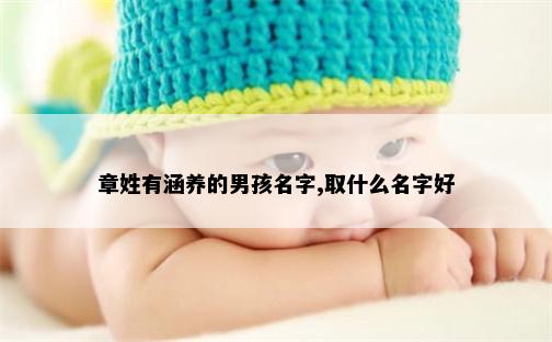 章姓有涵养的男孩名字,取什么名字好