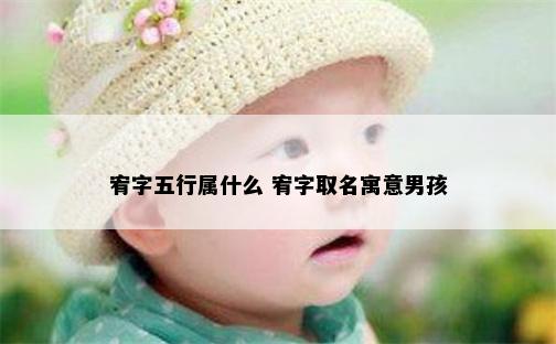 宥字五行属什么 宥字取名寓意男孩