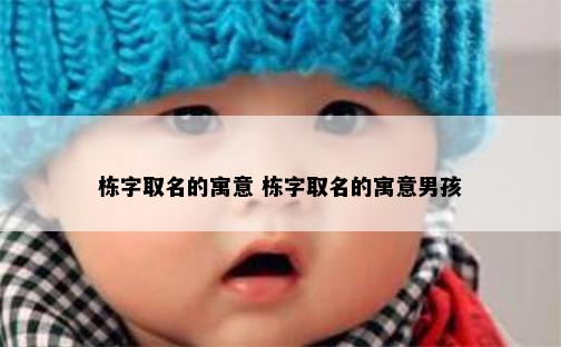 栋字取名的寓意 栋字取名的寓意男孩