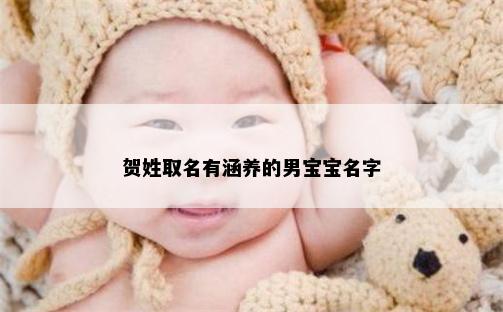 贺姓取名有涵养的男宝宝名字