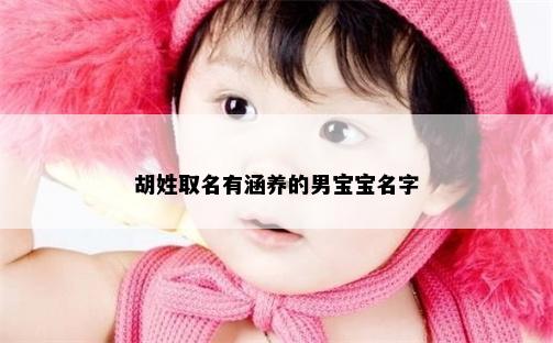 胡姓取名有涵养的男宝宝名字