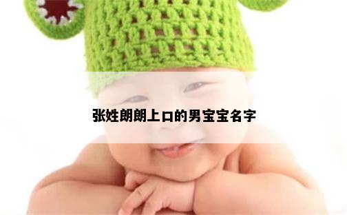 张姓朗朗上口的男宝宝名字