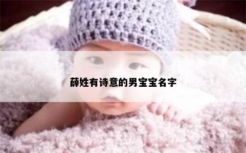 薛姓有诗意的男宝宝名字