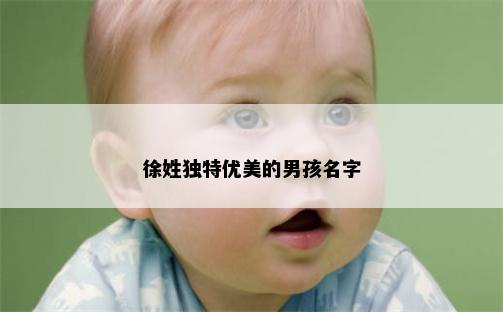 徐姓独特优美的男孩名字