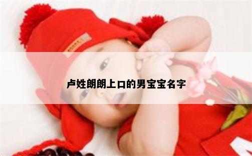 卢姓朗朗上口的男宝宝名字