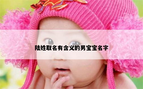 陆姓取名有含义的男宝宝名字