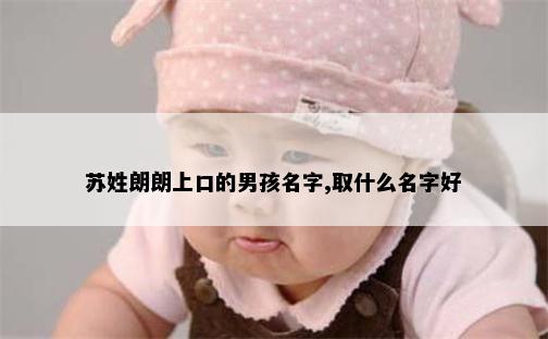 苏姓朗朗上口的男孩名字,取什么名字好