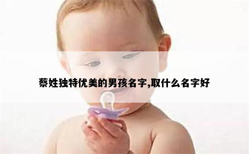 蔡姓独特优美的男孩名字,取什么名字好