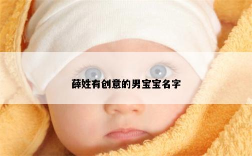 薛姓有创意的男宝宝名字