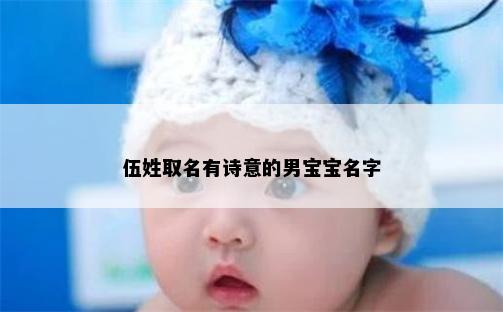 伍姓取名有诗意的男宝宝名字