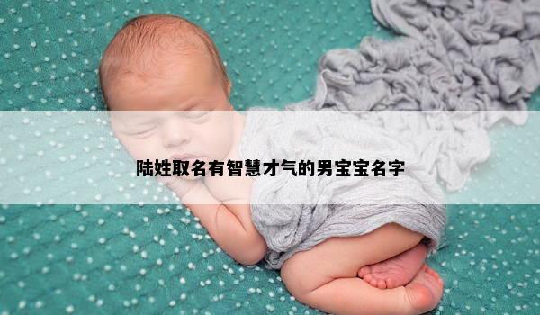 陆姓取名有智慧才气的男宝宝名字
