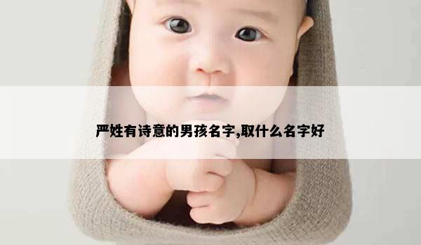 严姓有诗意的男孩名字,取什么名字好