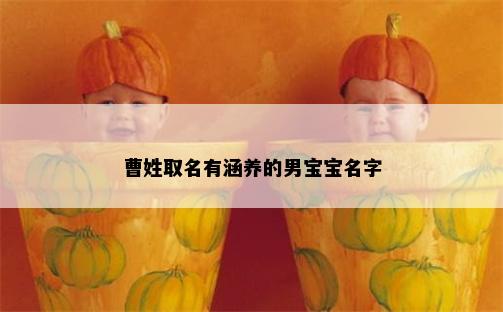 曹姓取名有涵养的男宝宝名字