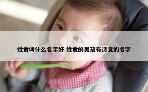 姓贲叫什么名字好 姓贲的男孩有诗意的名字