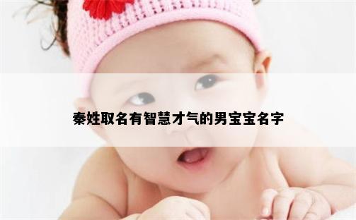 秦姓取名有智慧才气的男宝宝名字