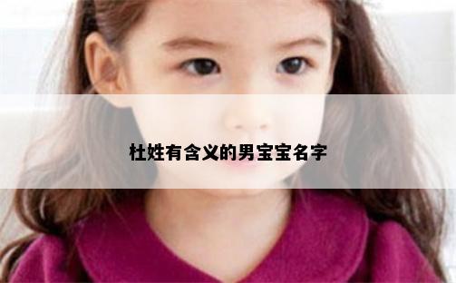 杜姓有含义的男宝宝名字