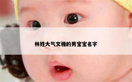 林姓大气文雅的男宝宝名字