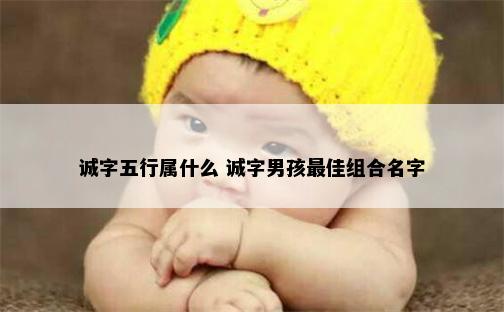 诚字五行属什么 诚字男孩最佳组合名字