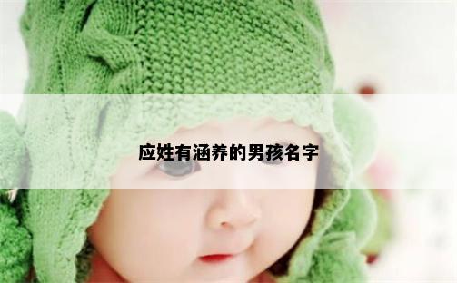 应姓有涵养的男孩名字