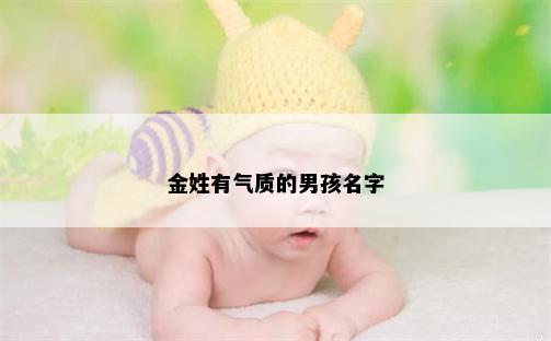 金姓有气质的男孩名字
