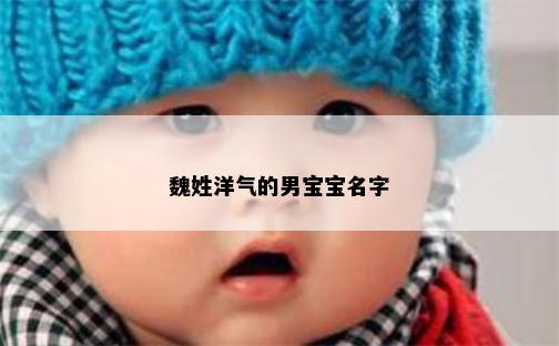 魏姓洋气的男宝宝名字