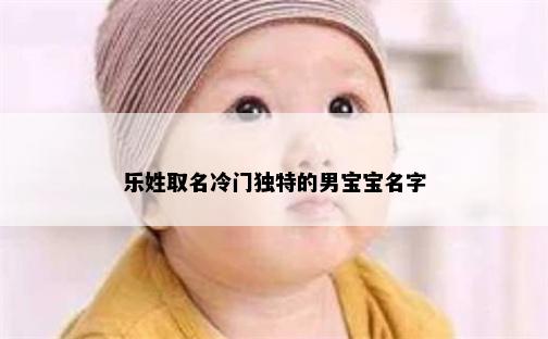 乐姓取名冷门独特的男宝宝名字