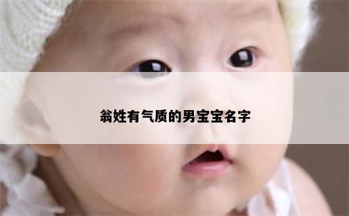 翁姓有气质的男宝宝名字