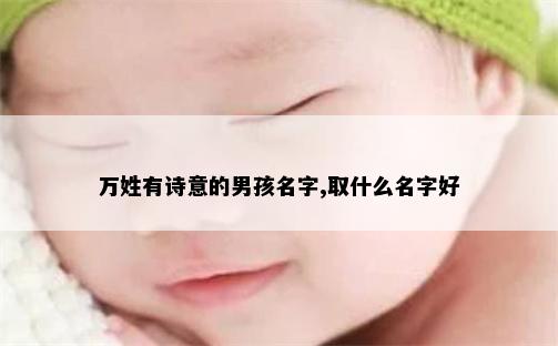 万姓有诗意的男孩名字,取什么名字好