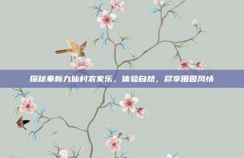 探秘奉新九仙村农家乐，体验自然，尽享田园风情