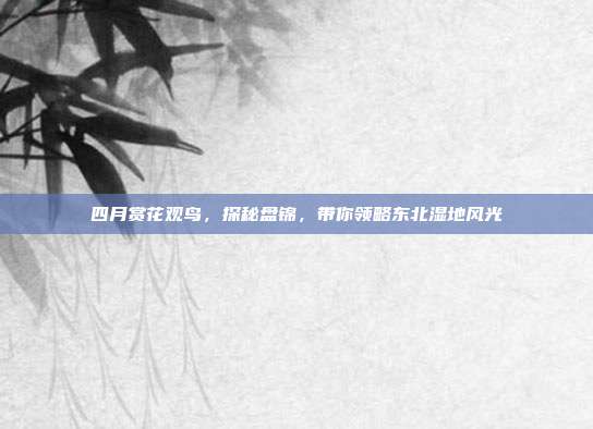 四月赏花观鸟，探秘盘锦，带你领略东北湿地风光