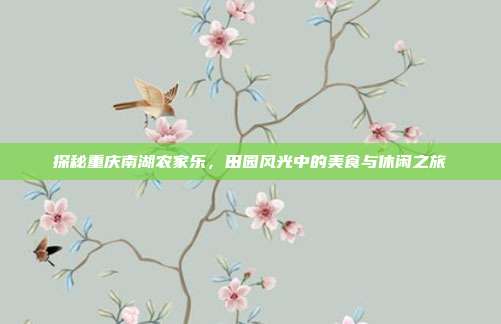 探秘重庆南湖农家乐，田园风光中的美食与休闲之旅