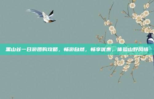 黑山谷一日游团购攻略，畅游自然，畅享优惠，体验山野风情