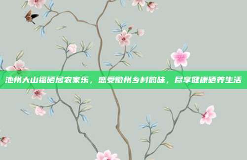 池州大山福硒居农家乐，感受徽州乡村韵味，尽享健康硒养生活