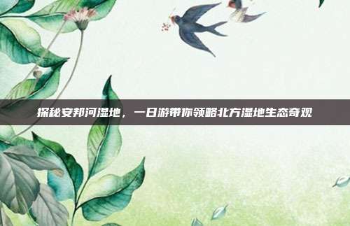 探秘安邦河湿地，一日游带你领略北方湿地生态奇观
