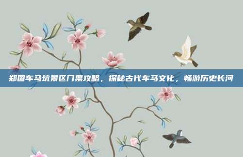 郑国车马坑景区门票攻略，探秘古代车马文化，畅游历史长河