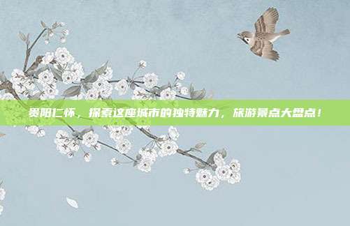 贵阳仁怀，探索这座城市的独特魅力，旅游景点大盘点！