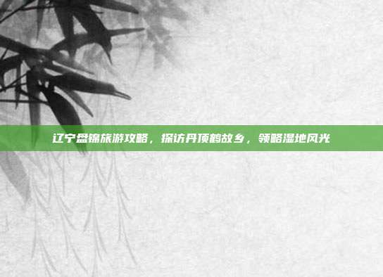 辽宁盘锦旅游攻略，探访丹顶鹤故乡，领略湿地风光