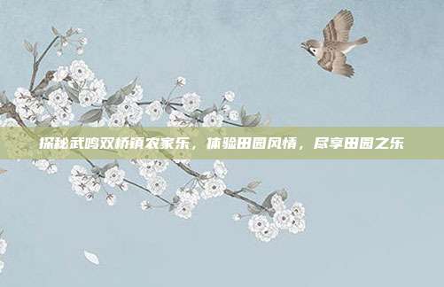 探秘武鸣双桥镇农家乐，体验田园风情，尽享田园之乐