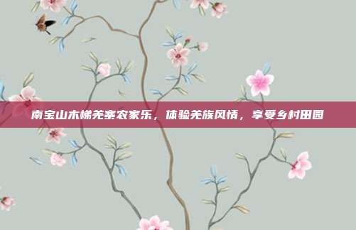 南宝山木梯羌寨农家乐，体验羌族风情，享受乡村田园